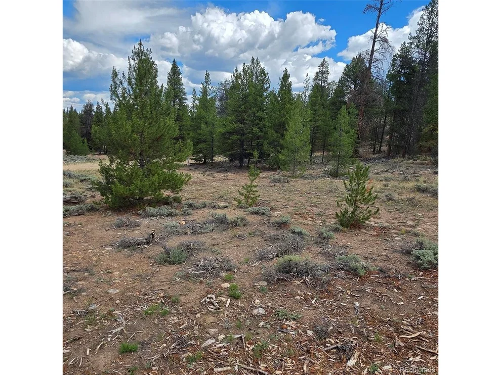 Unit for sale at 28 Juniper Dr, Twin Lakes, CO 81251