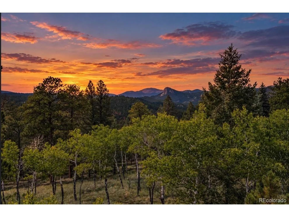 Unit for sale at 45336 S Elk Creek Rd, Pine, CO 80470