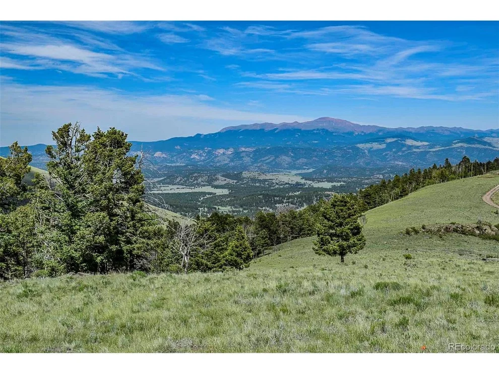 Unit for sale at 0 Bear Cat Rd, Guffey, CO 80820