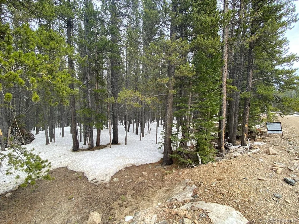 Unit for sale at 0 Lower Forest Rd, Idaho Springs, CO 80452