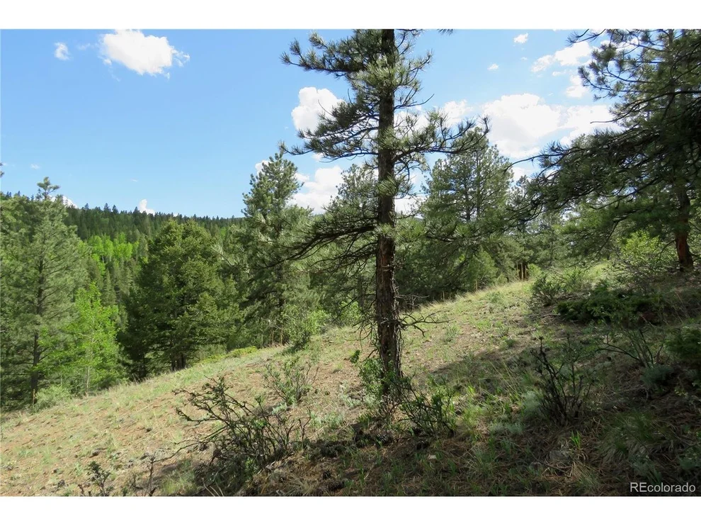 Unit for sale at 0 Come and See Mine, Central City, CO 80427