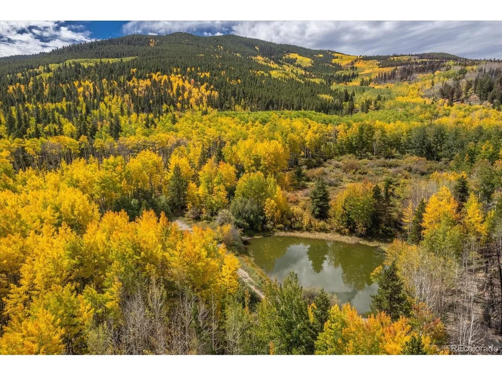 Unit for sale at 0 TBD County Road 28A, Twin Lakes, CO 81251