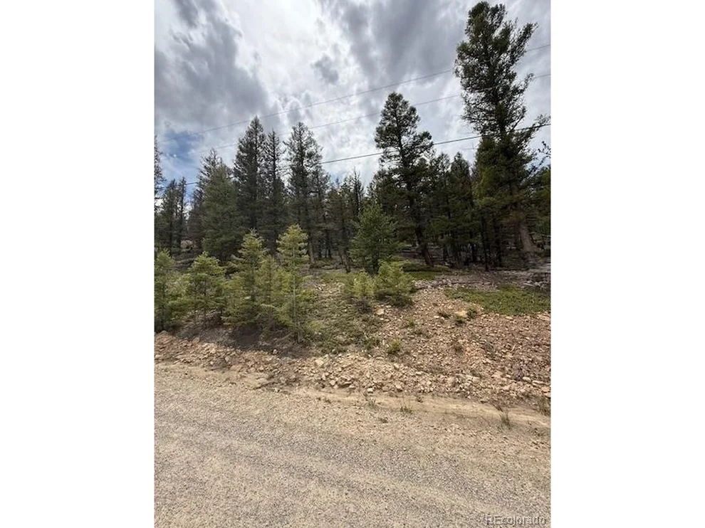 Unit for sale at 2689 Redhill Rd, Fairplay, CO 80440