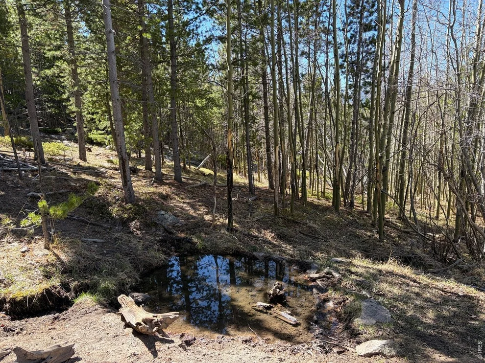 Unit for sale at 0 Bear Gulch Rd, Red Feather Lakes, CO 80545