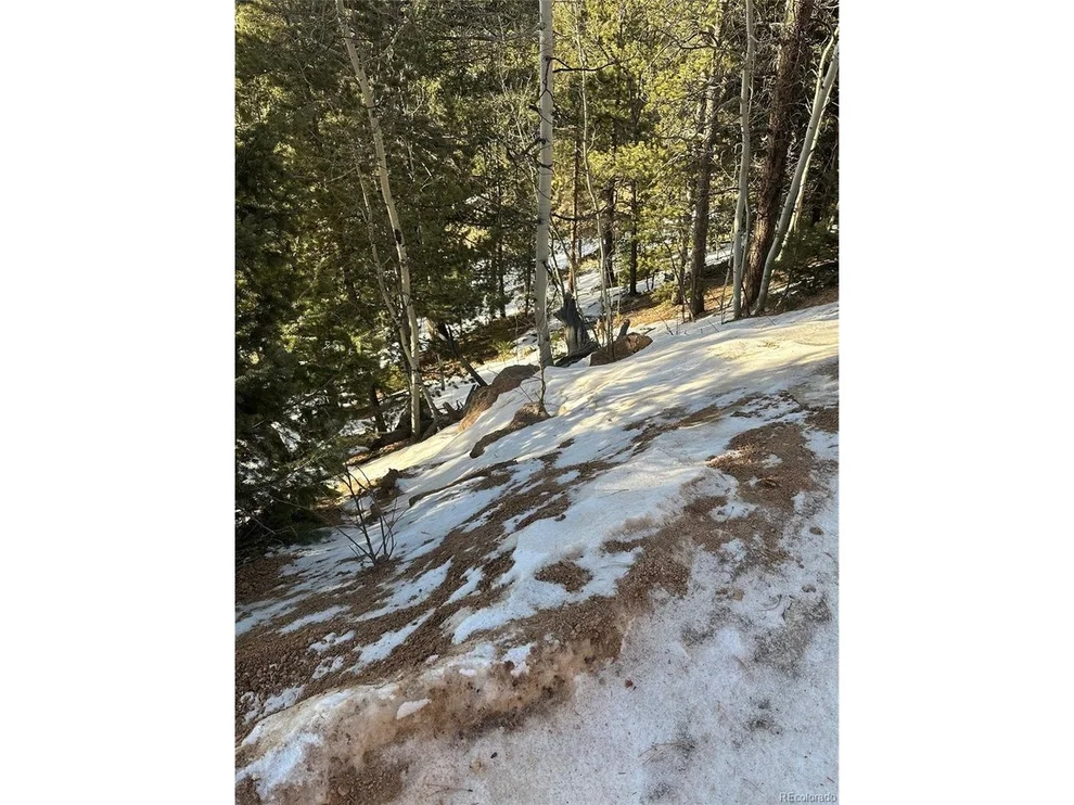 Unit for sale at 1600 Pikes Peak Dr, Divide, CO 80814