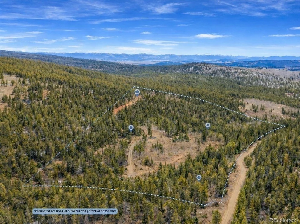 Unit for sale at 0 Beaver Creek Rd, Alma, CO 80420