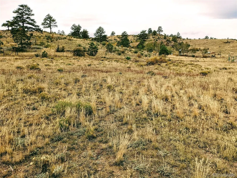 Unit for sale at 0 Black Beaver, Hartsel, CO 80449