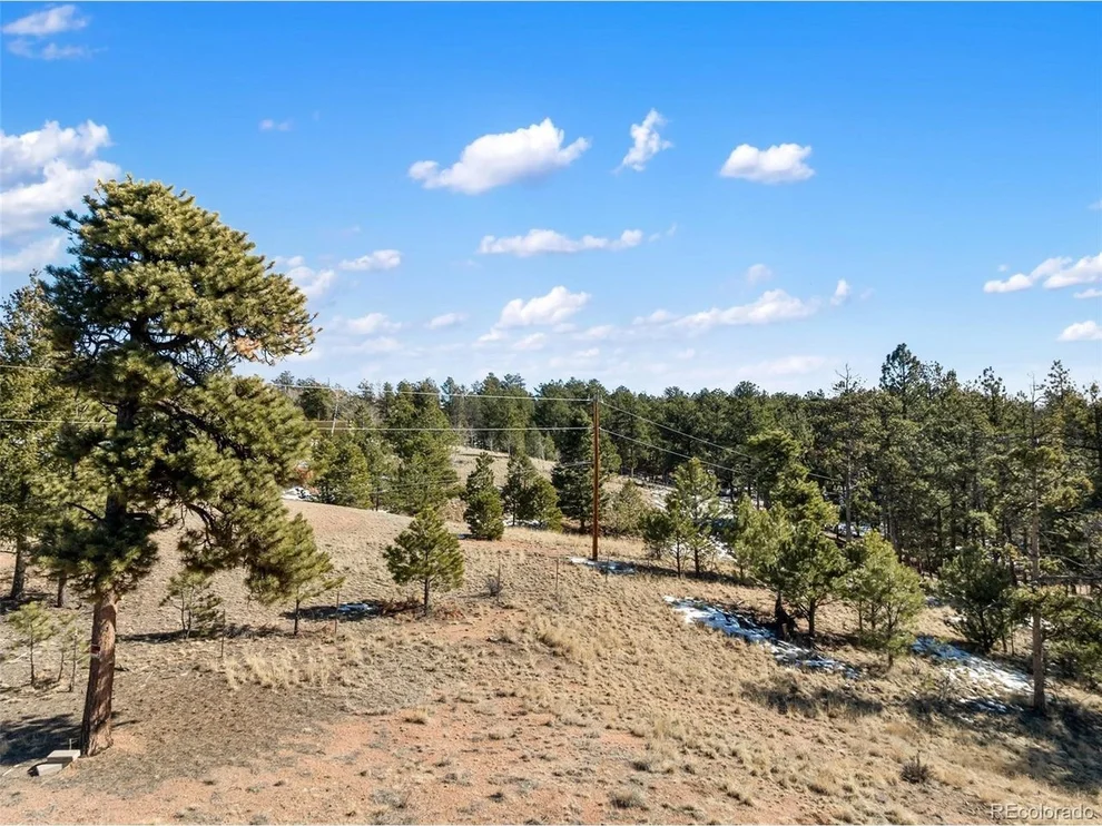 Unit for sale at 530 Columbine Rd, Florissant, CO 80816