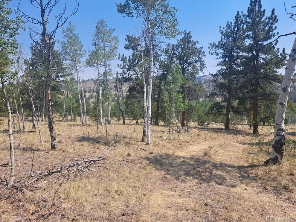 Unit for sale at 2338 Fitzsimmons Rd, Hartsel, CO 80449