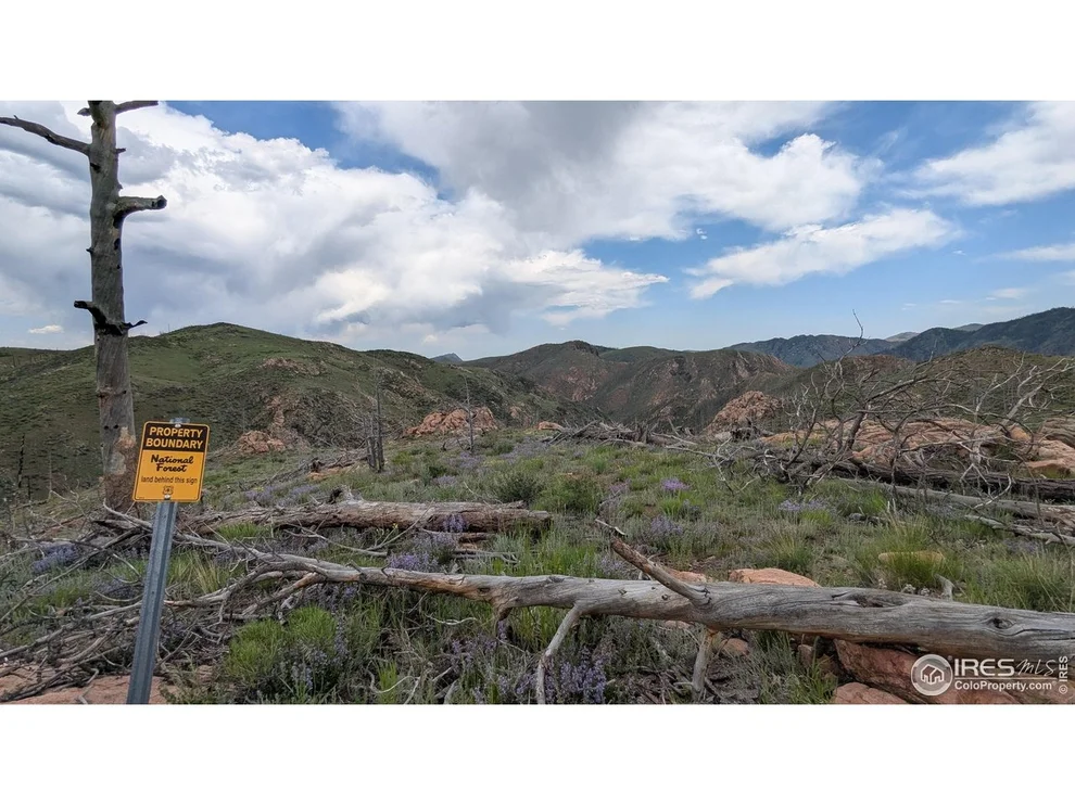 Unit for sale at 1360 Meadow Mountain Dr, Livermore, CO 80536