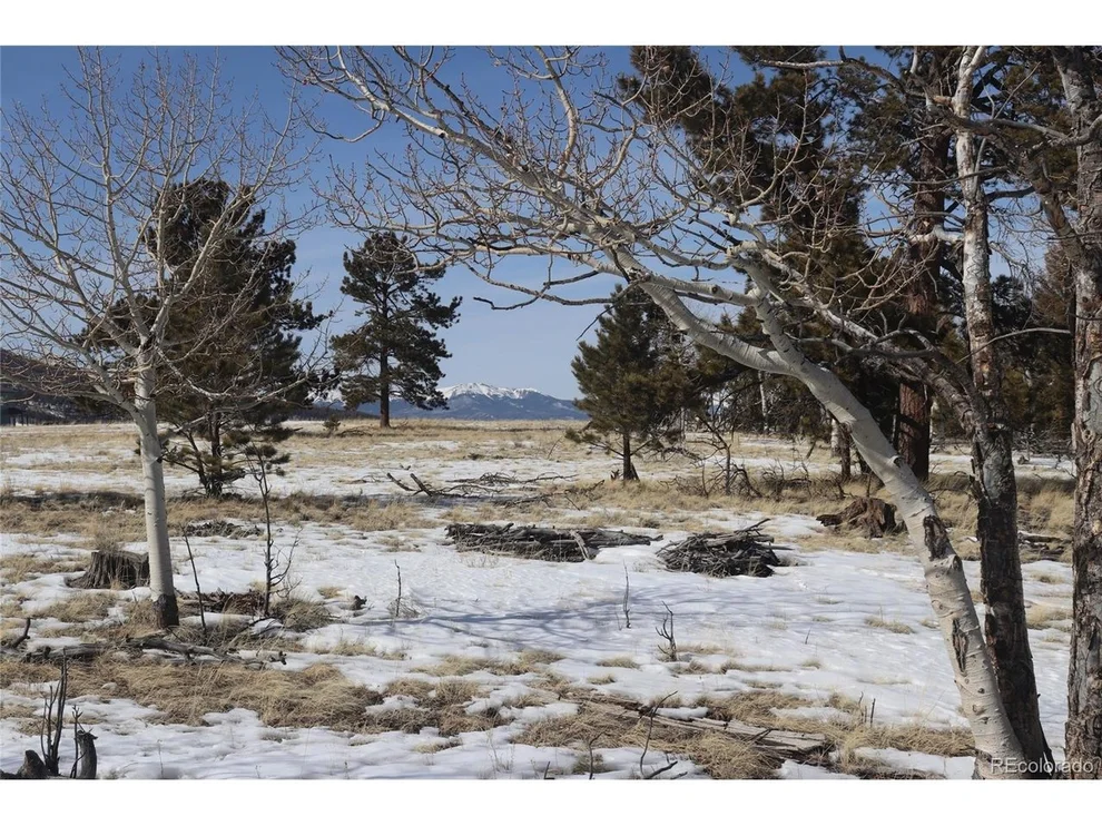 Unit for sale at 96 Baler Ct, Hartsel, CO 80449