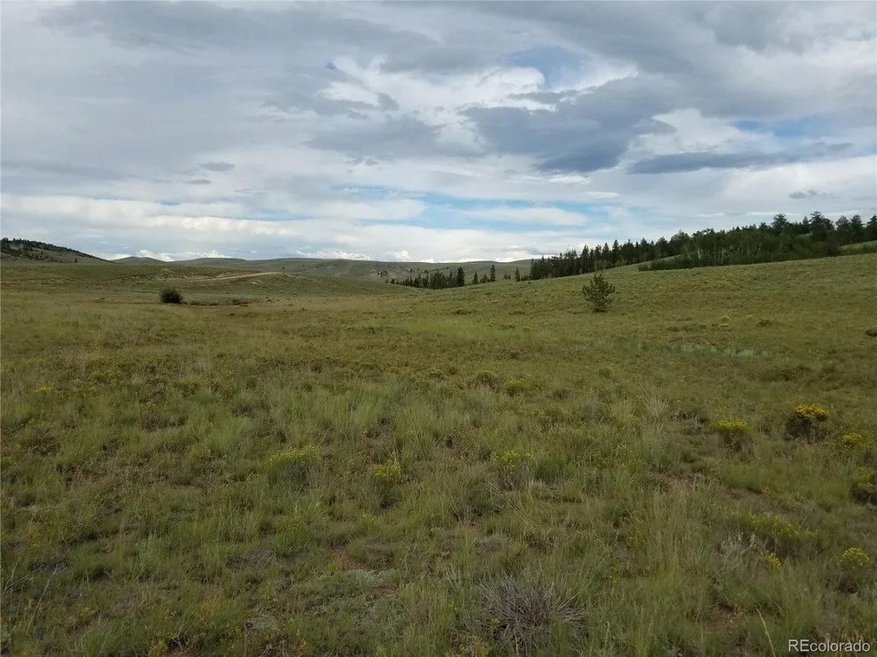 Unit for sale at 290550 Aspen Trl, Hartsel, CO 80449