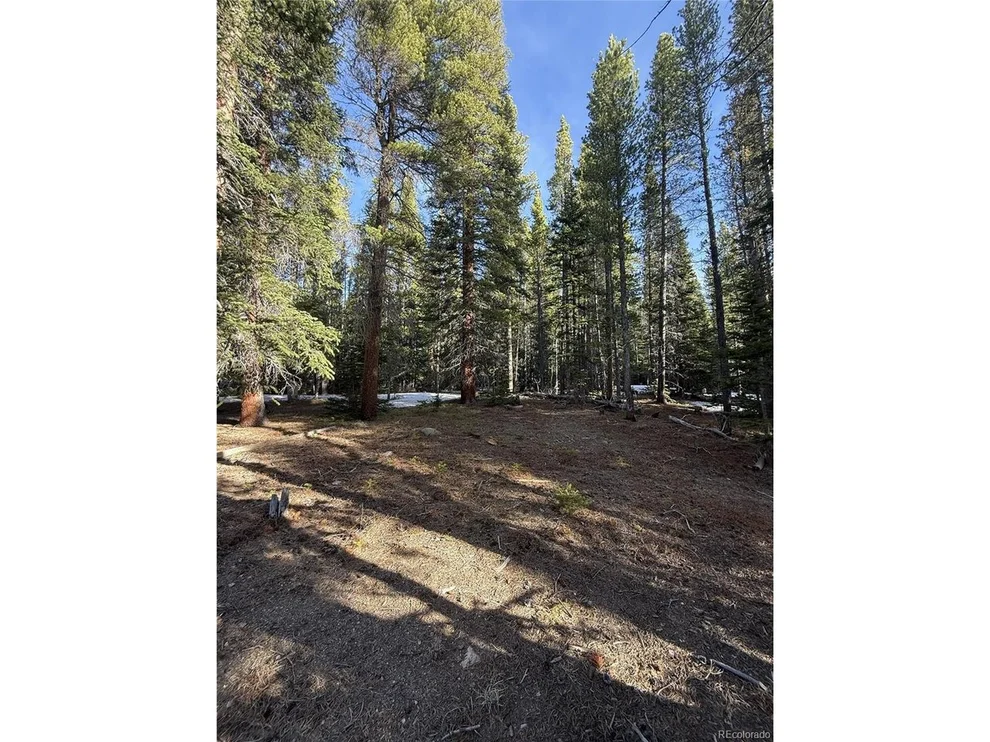 Unit for sale at 611 Silver Creek Rd, Idaho Springs, CO 80452