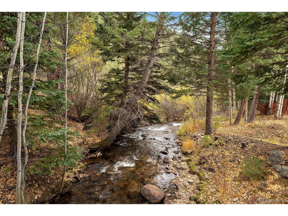 Unit for sale at 2971 Fall River Rd, Idaho Springs, CO 80452