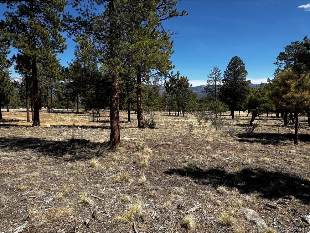 Unit for sale at 30583 Timberline Dr, Buena Vista, CO 81211