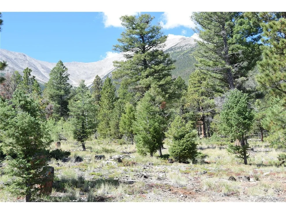 Unit for sale at 17225 County Road 327, Buena Vista, CO 81211
