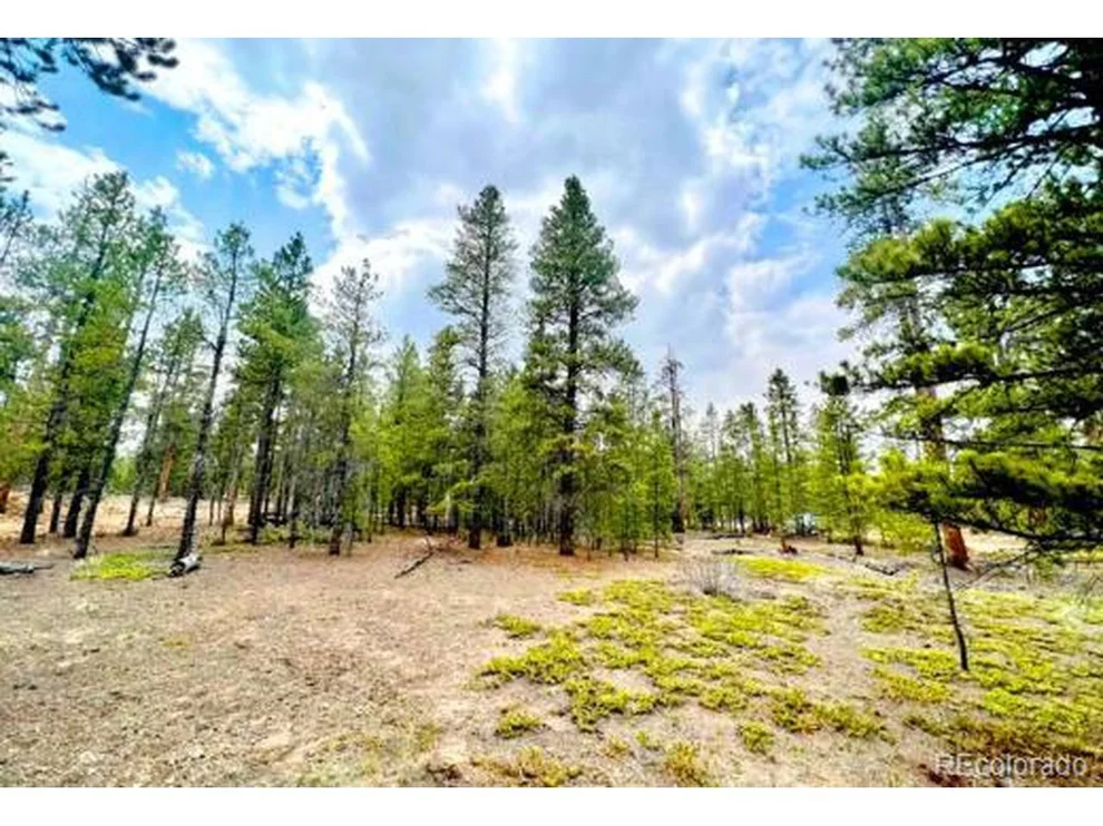 Unit for sale at 275 Mt Elbert Dr, Leadville, CO 81251