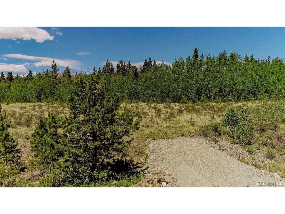 Unit for sale at 515 Wild Rye Rd, Fairplay, CO 80440