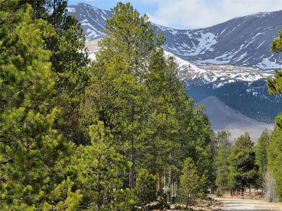Unit for sale at 322 Fir Dr, Twin Lakes, CO 81251