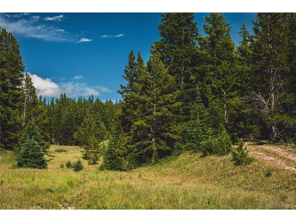 Unit for sale at 5347 Monitor, Leadville, CO 80461