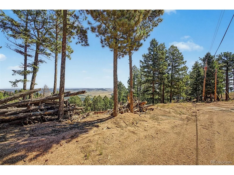 Unit for sale at 2199 Badger Dr, Larkspur, CO 80118