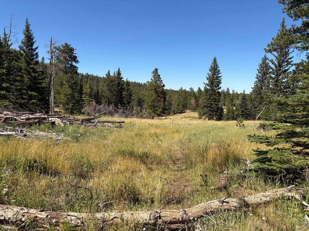 Unit for sale at Pratt Creek Rd, Livermore, CO 80536