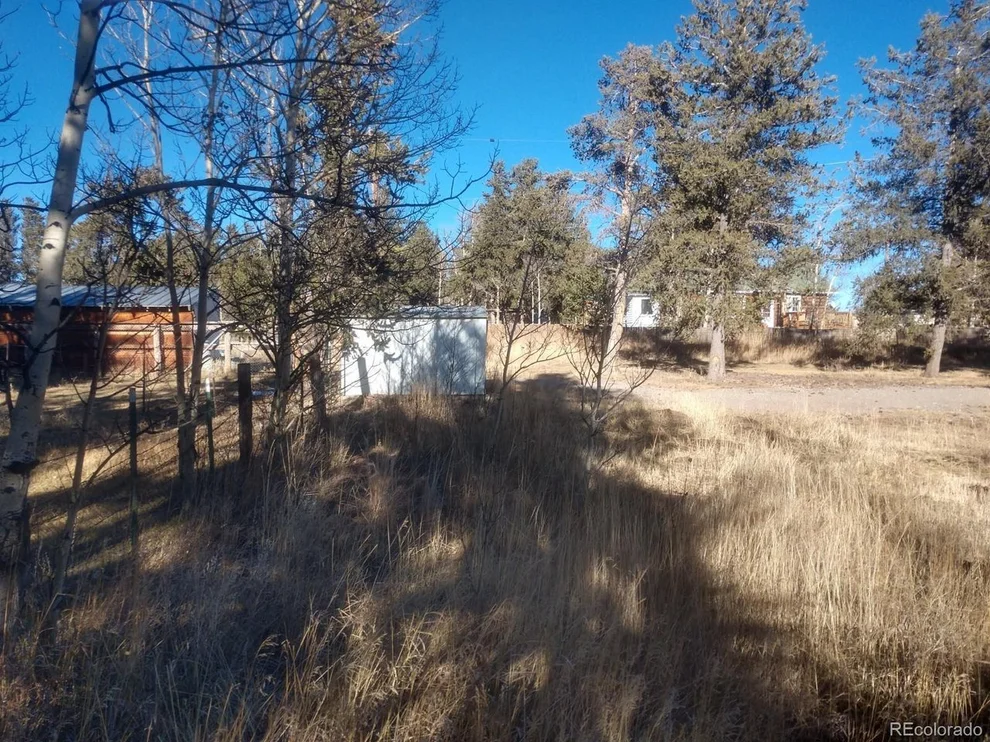 Unit for sale at 594 4th St, Fairplay, CO 80440