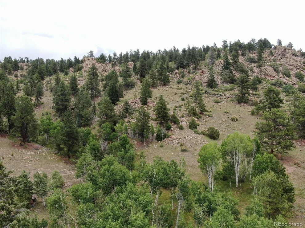 Unit for sale at 76 Crocus Cir, Florissant, CO 80816