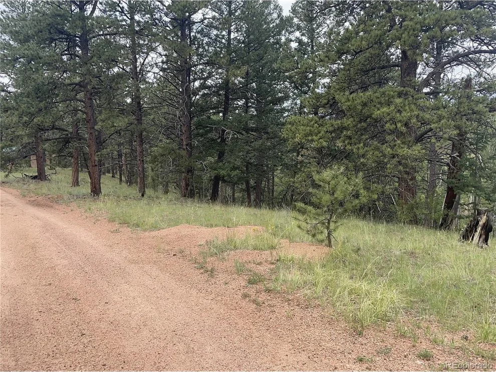 Unit for sale at 452 Wilson Dr, Florissant, CO 80816