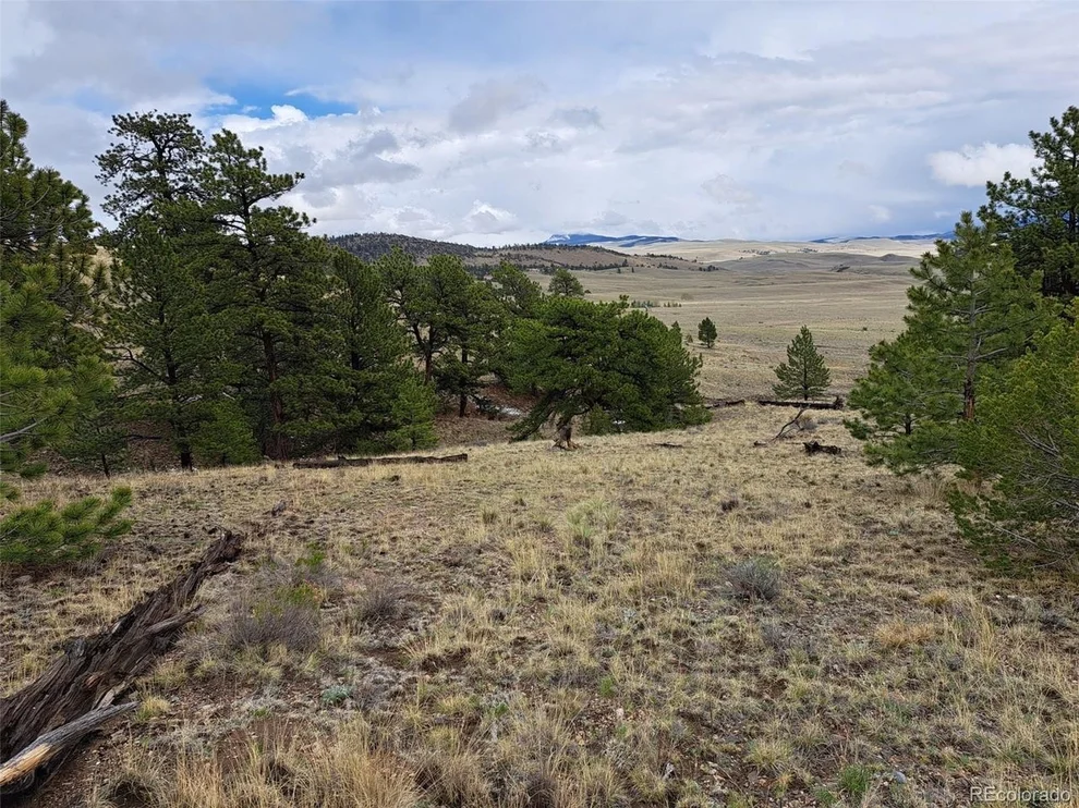 Unit for sale at 783 Remuda, Hartsel, CO 80449