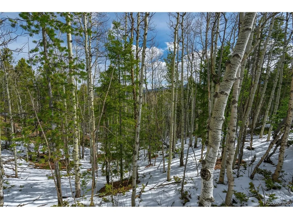 Unit for sale at 224 Deadwood Rd, Cripple Creek, CO 80813