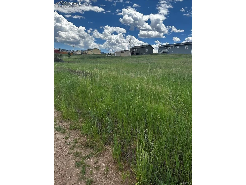 Unit for sale at 1298 Will Scarlet Dr, Divide, CO 80814