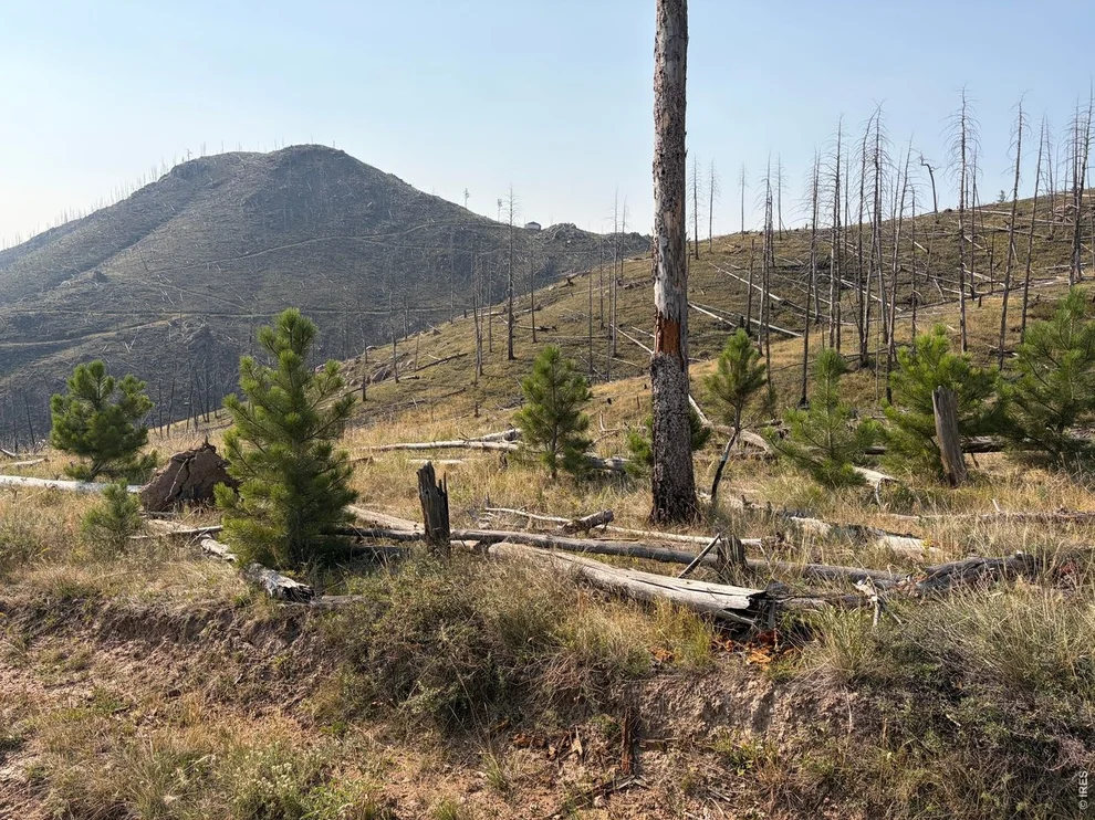 Unit for sale at 0 Pine Acres Rd, Bellvue, CO 80512