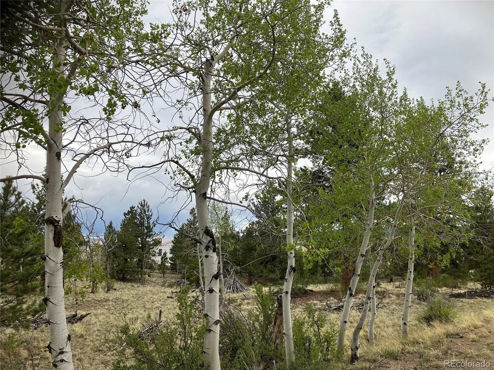 Unit for sale at 256 Bandana Rd, Hartsel, CO 80449