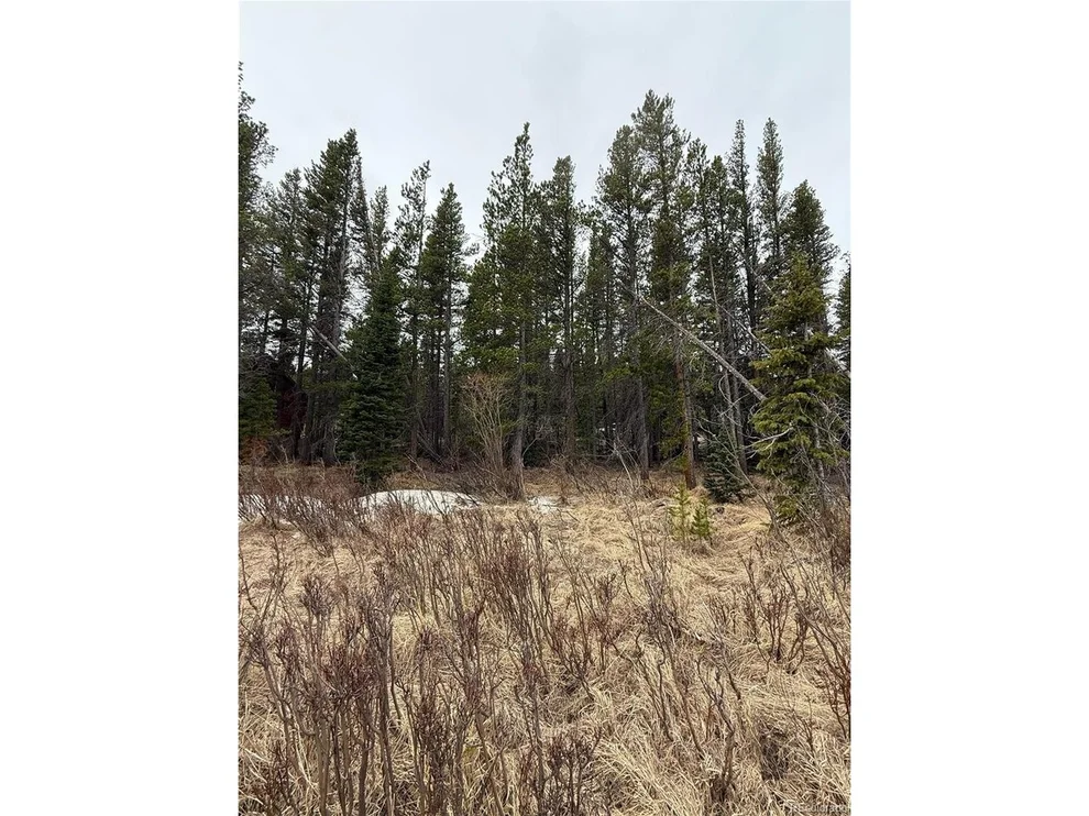 Unit for sale at 111 Silver Creek Rd, Idaho Springs, CO 80452