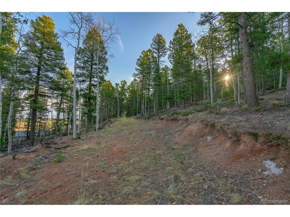 Unit for sale at 88 Malmsey Ln, Divide, CO 80814