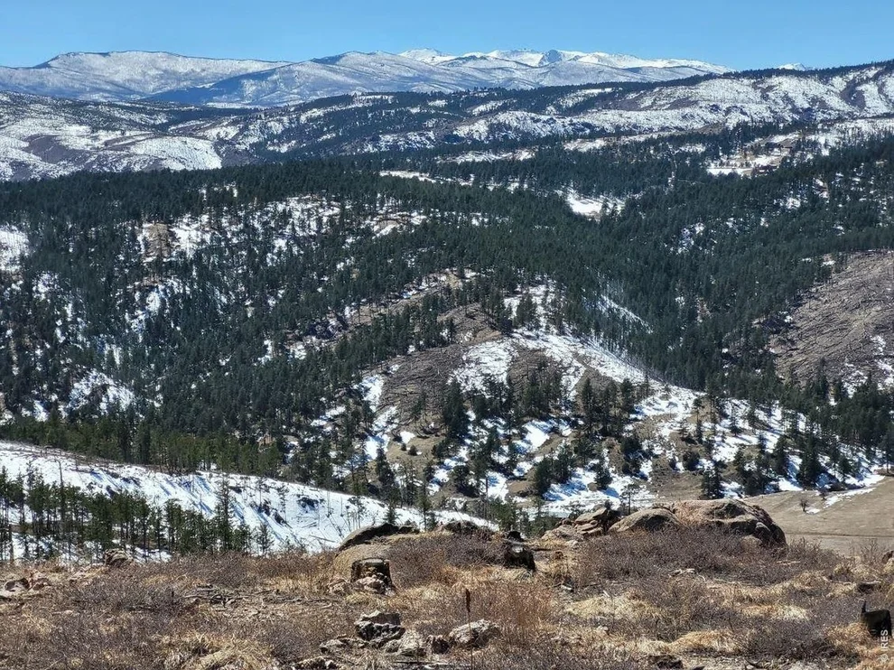 Unit for sale at 1390 Walking Wind Dr, Bellvue, CO 80512
