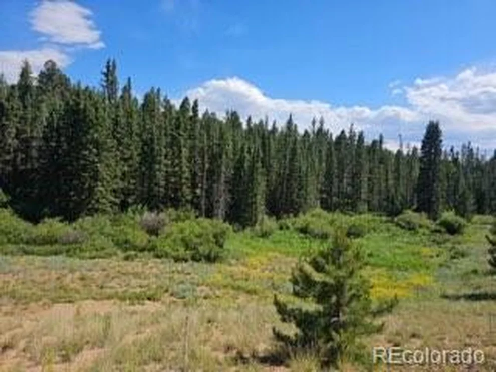Unit for sale at 1164 Arapahoe Creek Trl, Florissant, CO 80816