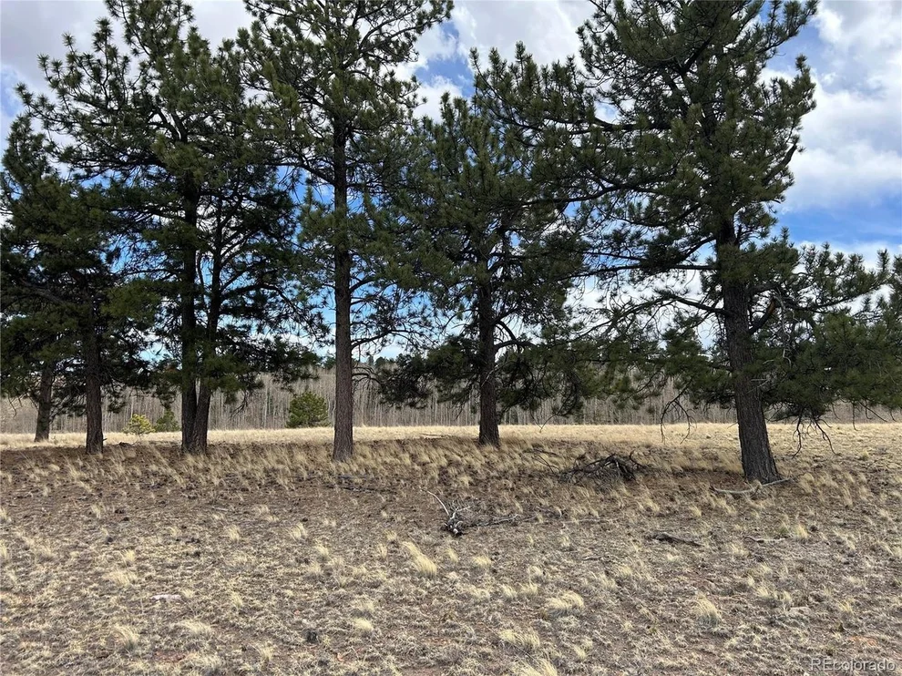 Unit for sale at 304 Brahma Cir, Hartsel, CO 80449