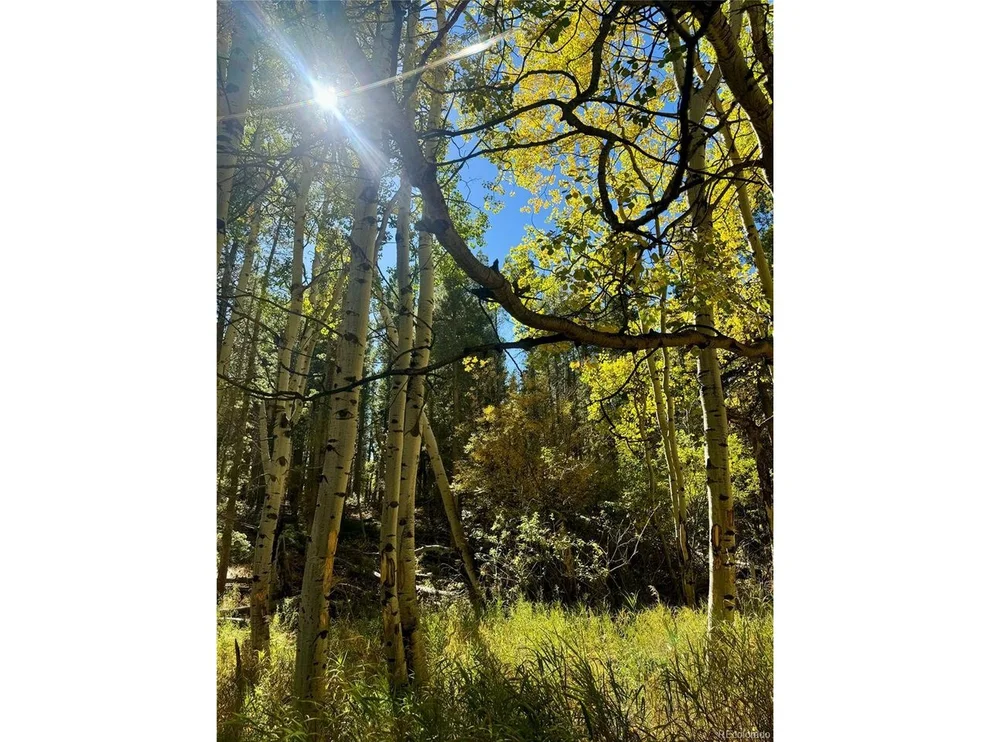 Unit for sale at 0 Lone Ponderosa Dr, Black Hawk, CO 80422