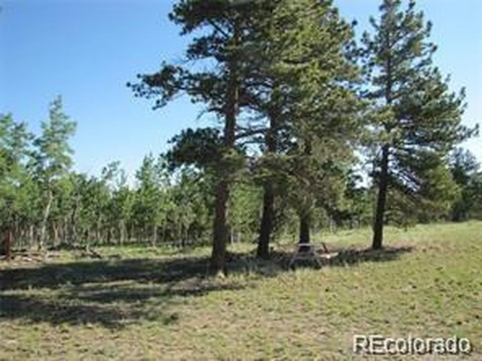 Unit for sale at 257 Bolster Dr, Hartsel, CO 80449