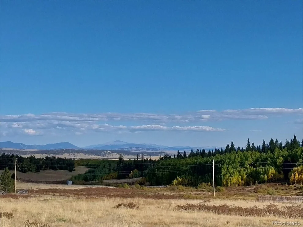 Unit for sale at 0 Bluestem Way, Fairplay, CO 80440
