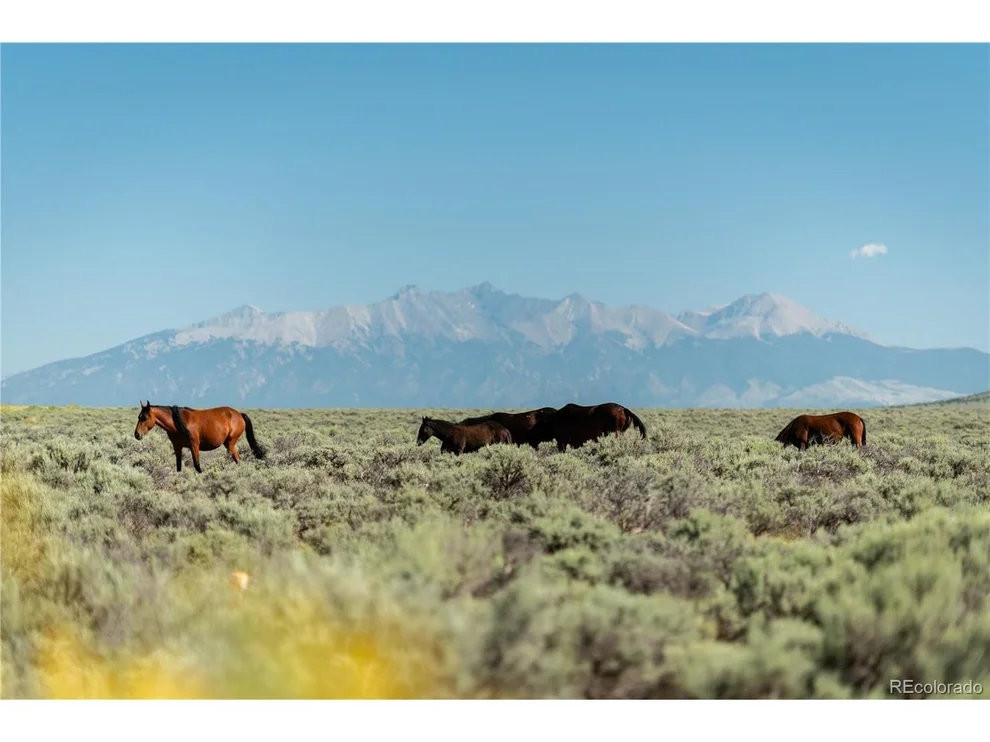 Unit for sale at 0 HWY 159, Sanford, CO 81151