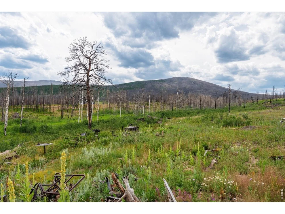 Unit for sale at 529 Quartz Rd, Bellvue, CO 80512