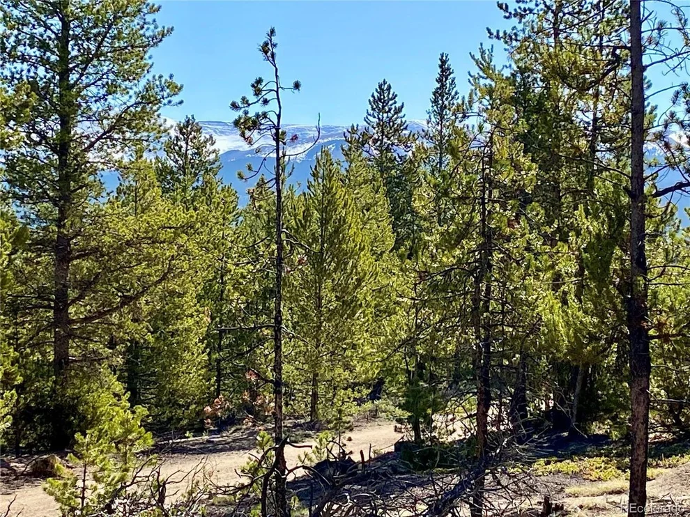 Unit for sale at 436 Ponderosa Dr, Twin Lakes, CO 81251