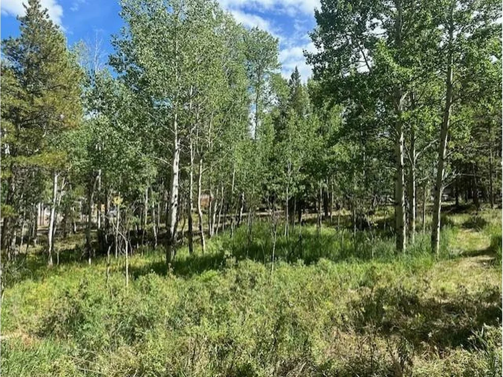 Unit for sale at 293 Aspen Cir, Black Hawk, CO 80422