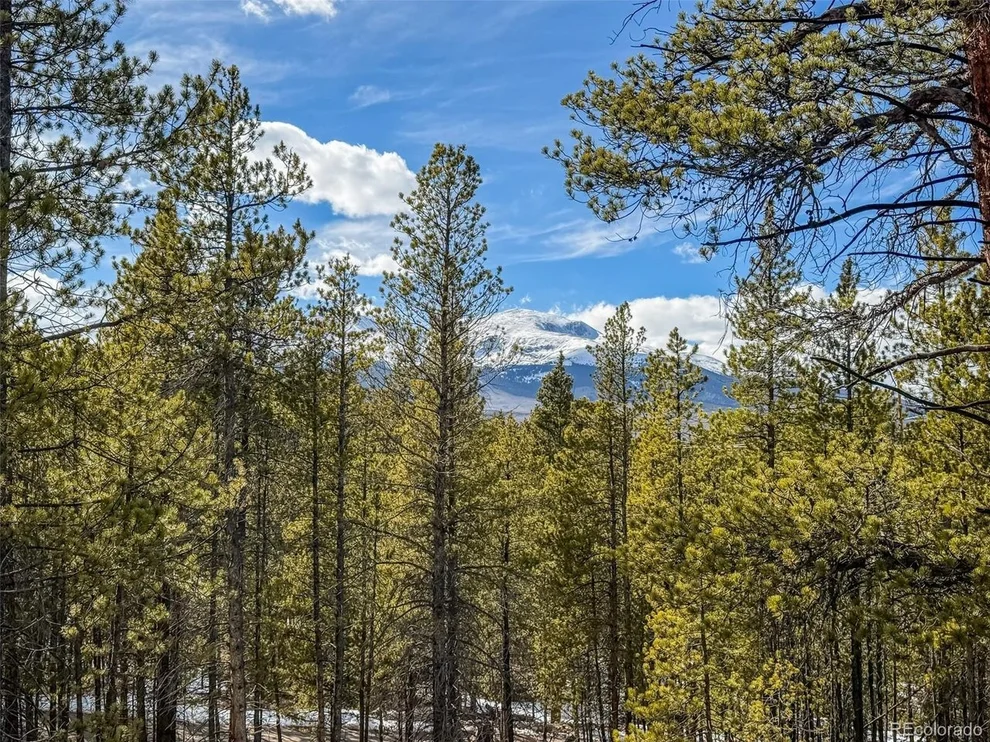 Unit for sale at 483 Mt Massive Rd, Twin Lakes, CO 81251