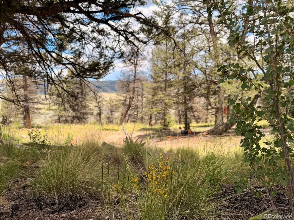 Unit for sale at 1348 Middle Fork Vis, Fairplay, CO 80440