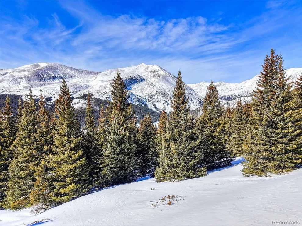 Unit for sale at 58969 Highway 9, Alma, CO 80420