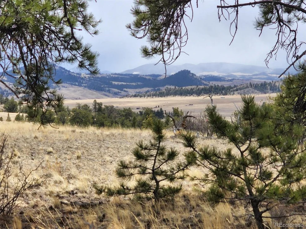 Unit for sale at 5935 Hiawatha Cir, Hartsel, CO 80449